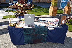 MOMENTUM AND STEPHANIE POLIAKOFF